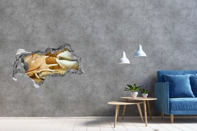 Samoprzylepna dziura na ścianę Muszle na drewnie