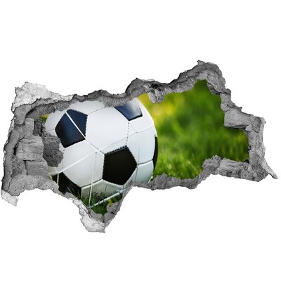 Fototapeta dziura na ścianę 3d Piłka w bramce