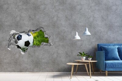Fototapeta dziura na ścianę 3d Piłka w bramce