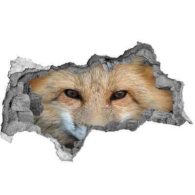 Dziura 3d fototapeta na ścianę naklejka Lis