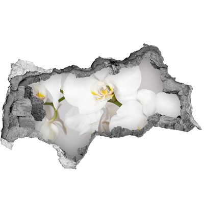 Samoprzylepna naklejka na ścianę Orchidea