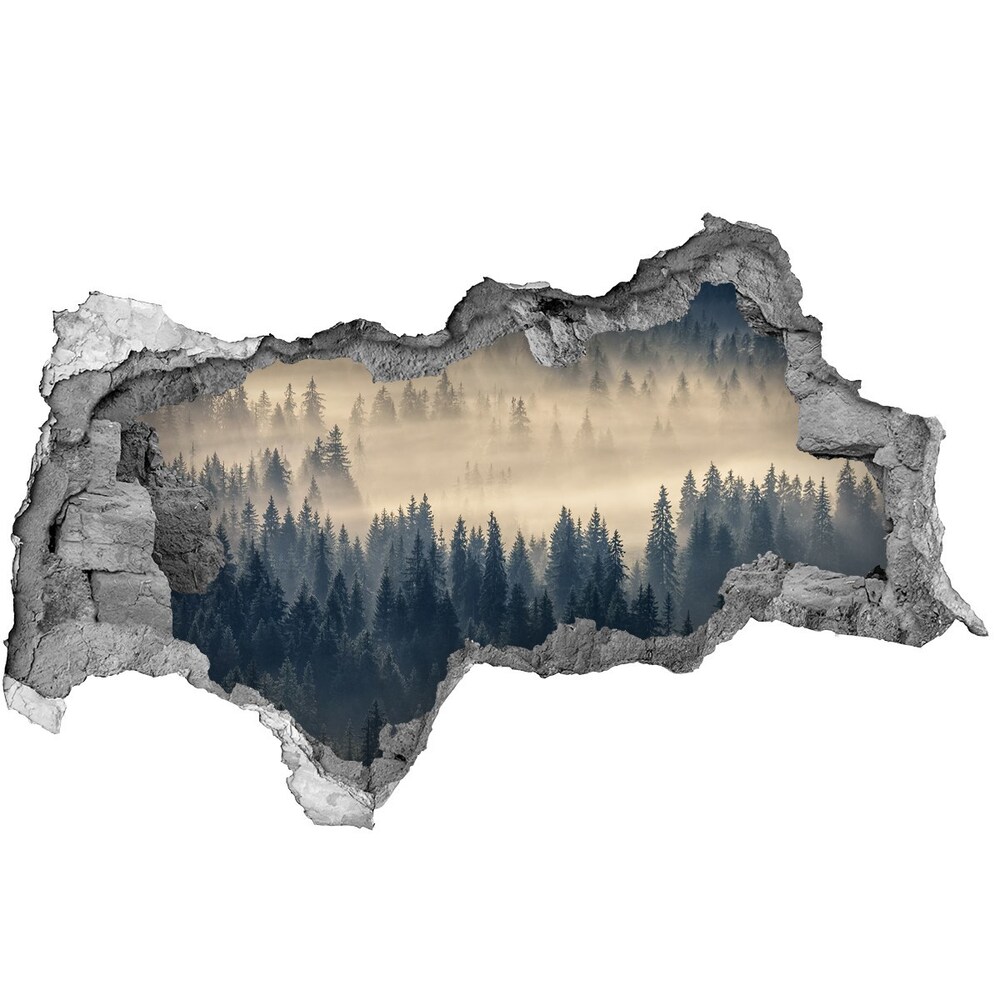 Dziura 3d w ścianie naklejka Mgła nad lasem
