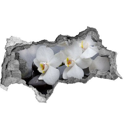 Samoprzylepna naklejka fototapeta Orchidea