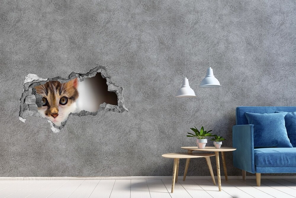 Dziura 3d fototapeta ścienna Naklejka Mały kot