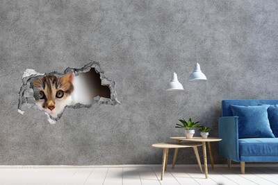 Dziura 3d fototapeta ścienna Naklejka Mały kot