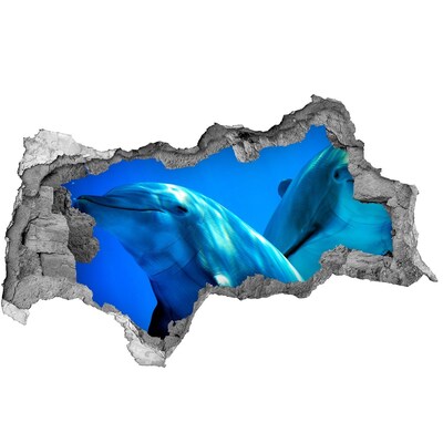 Dziura 3d fototapeta ścienna Dwa delfiny
