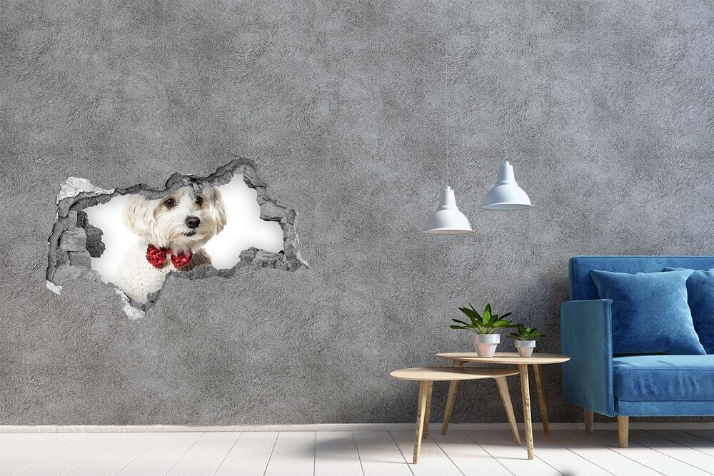 Dziura 3d fototapeta Maltańczyk w muszce