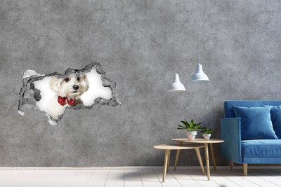Dziura 3d fototapeta Maltańczyk w muszce