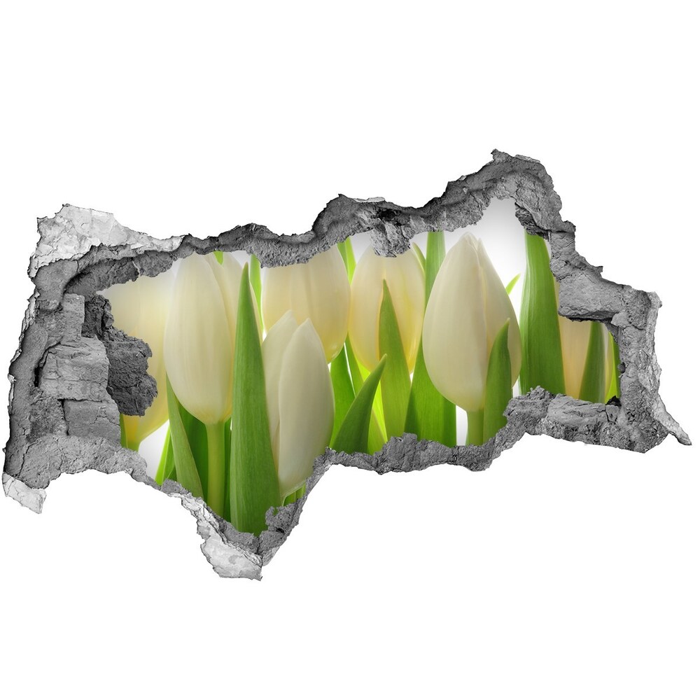 Samoprzylepna naklejka fototapeta Tulipany