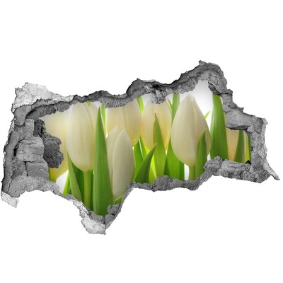 Samoprzylepna naklejka fototapeta Tulipany