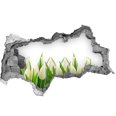 Samoprzylepna naklejka fototapeta Białe tulipany