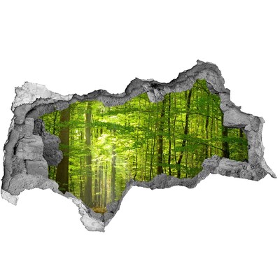 Dziura 3d w ścianie na ścianę Liściasty las