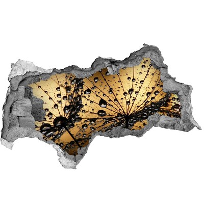 Samoprzylepna naklejka na ścianę Nasiona dmuchawca