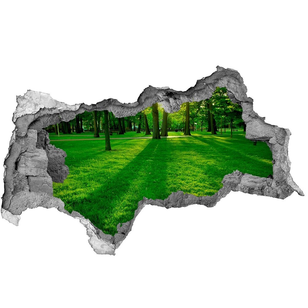 Dziura 3d w ścianie naklejka Trawa w parku