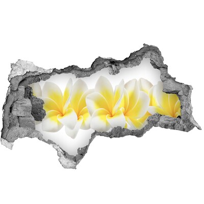 Samoprzylepna naklejka fototapeta Plumeria