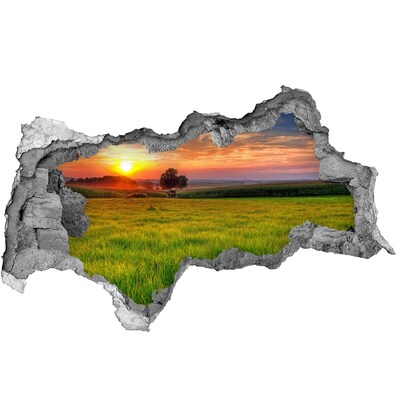 Samoprzylepna dziura na ścianę Zachód słońca łąka