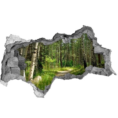 Dziura 3d w ścianie naklejka Ścieżka w lesie