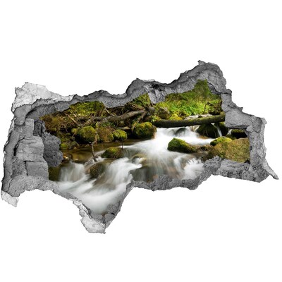 Dziura 3d w ścianie naklejka Potok Olczyski