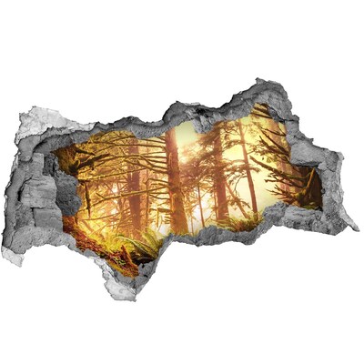 Dziura 3d w ścianie naklejka Las deszczowy