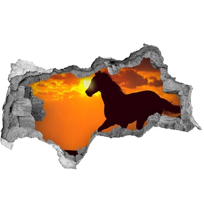 Dziura 3d fototapeta na ścianę Koń zachód słońca