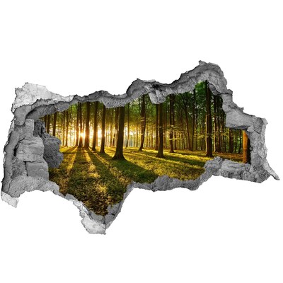 Dziura 3d w ścianie naklejka Promienie słońca