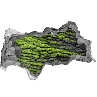 Samoprzylepna dziura naklejka Kora drzewa