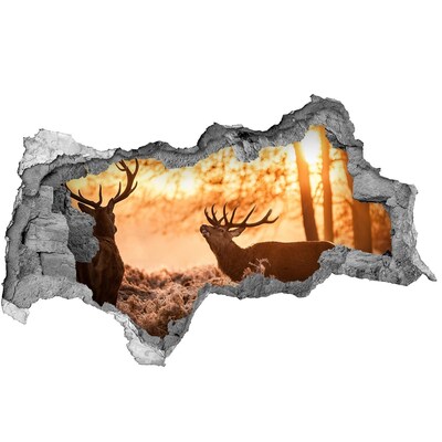 Dziura 3d fototapeta naklejka Jelenie wschód
