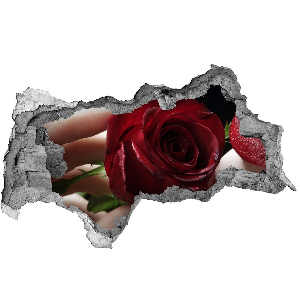 Fotoobraz dziura na ścianę Kobieta z różą