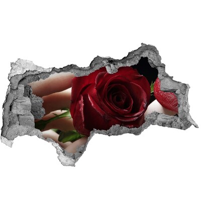 Fotoobraz dziura na ścianę Kobieta z różą