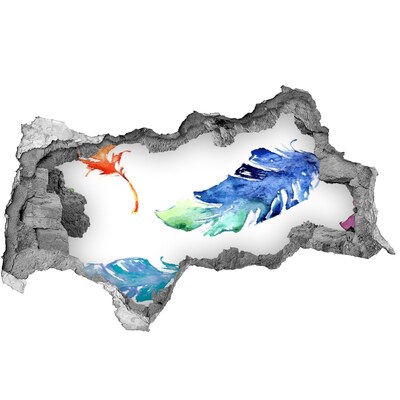 Dziura 3d fototapeta naklejka Kolorowe piórka