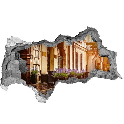 Fototapeta dziura na ścianę 3d Kraków Polska