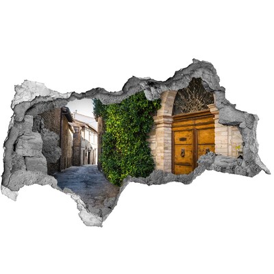 Fototapeta dziura na ścianę 3d Urokliwa uliczka