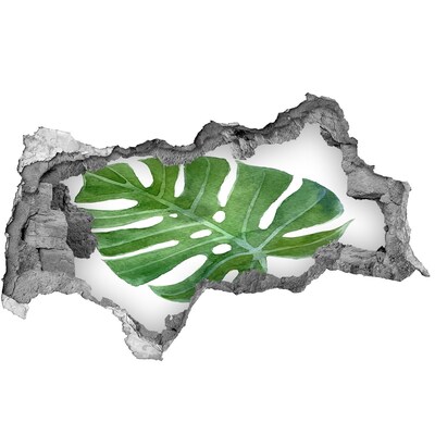 Naklejka 3D dziura na ścianę beton Monstera