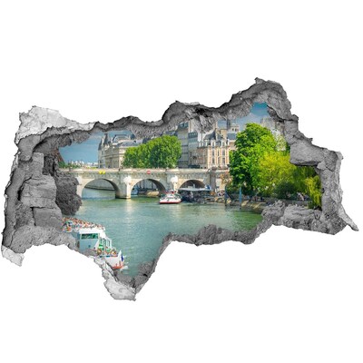 Fototapeta dziura na ścianę 3d Sekwana Paryż