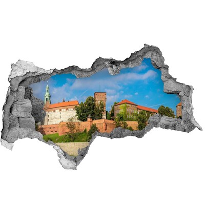 Fototapeta dziura na ścianę 3d Kraków Polska