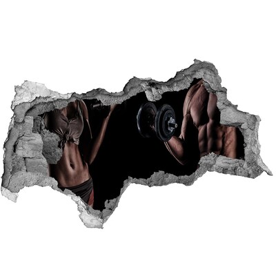 Samoprzylepna dziura na ścianę Budowa mięśni