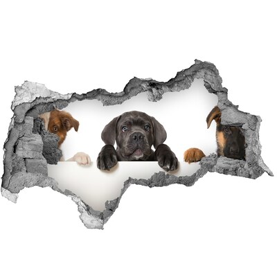 Dziura 3d fototapeta naklejka Trzy szczeniaki