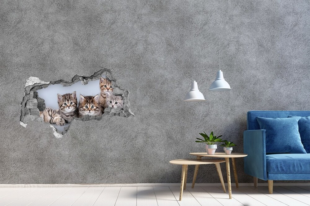 Dziura 3d fototapeta naklejka Pięć kotów