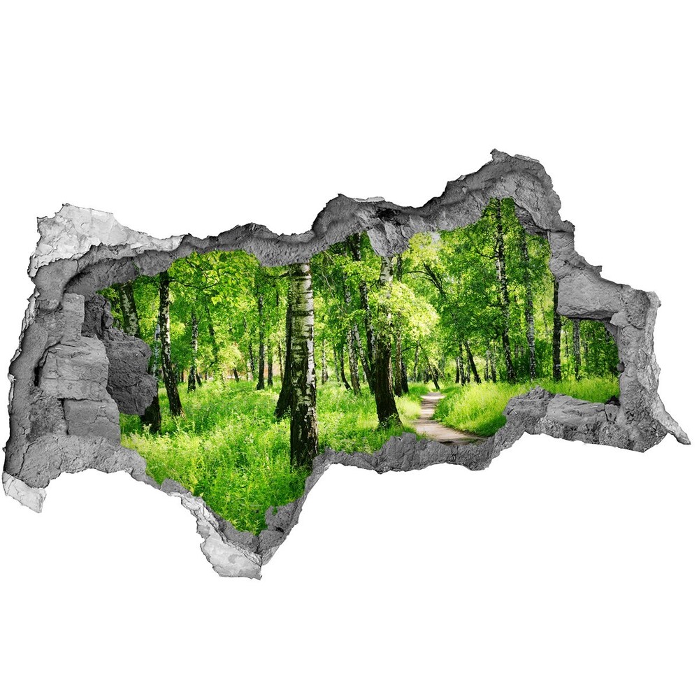 naklejka fototapeta 3D widok Brzozowy las