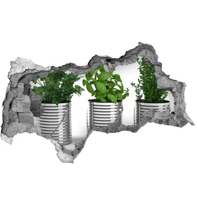 Samoprzylepna naklejka Aromatyczne rośliny