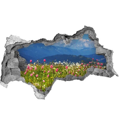 naklejka fototapeta 3D widok Łąka w górach