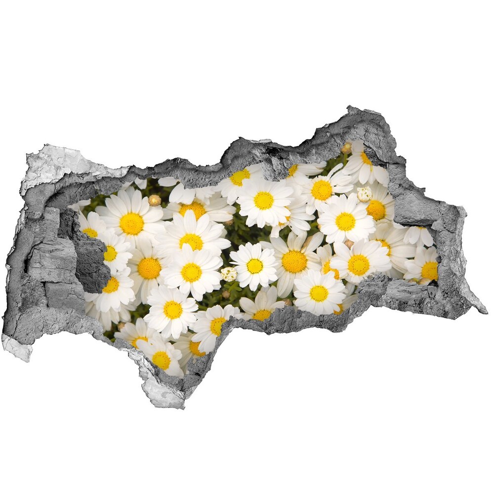 Samoprzylepna dziura naklejka Stokrotki