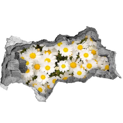 Samoprzylepna dziura naklejka Stokrotki