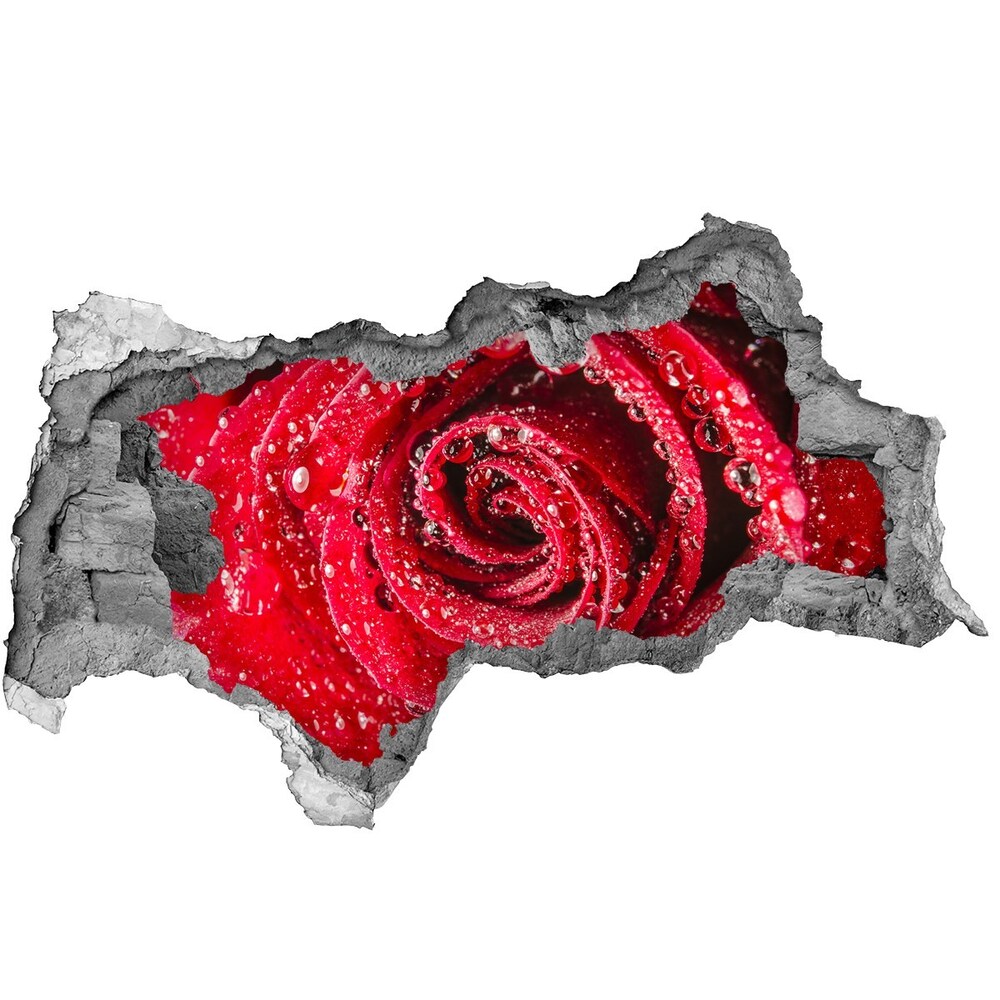 Samoprzylepna dziura Krople wody na róży