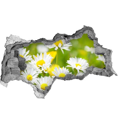 Samoprzylepna dziura naklejka Stokrotki