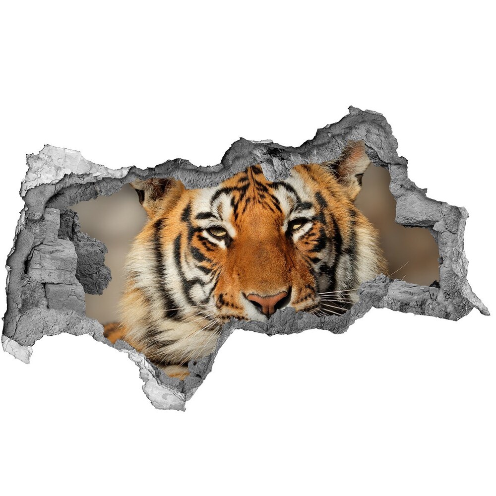 Dziura 3d foto tapeta naklejka Tygrys bengalski