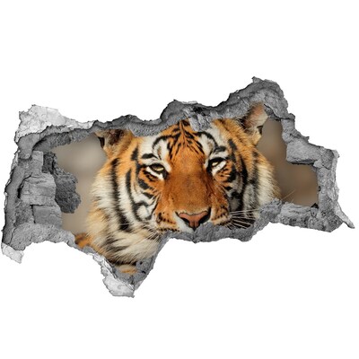 Dziura 3d foto tapeta naklejka Tygrys bengalski