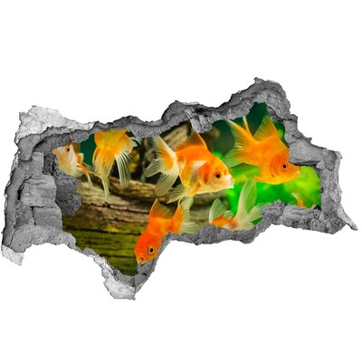 Dziura 3d foto tapeta naklejka Złote rybki