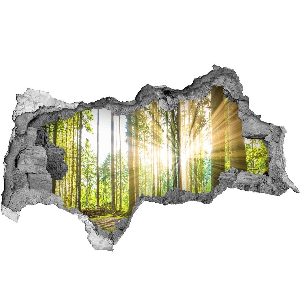 Dziura 3d foto tapeta naklejka Kotek w swetrze