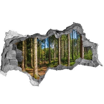 Fotoobraz dziura na ścianę Pióra i kwiaty
